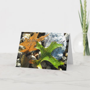 Thanksgiving Greeting Card