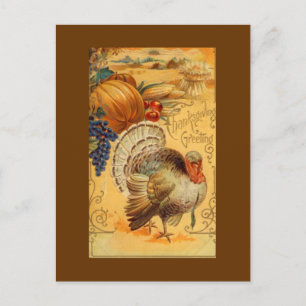 Thanksgiving Greetings Holiday Postcard