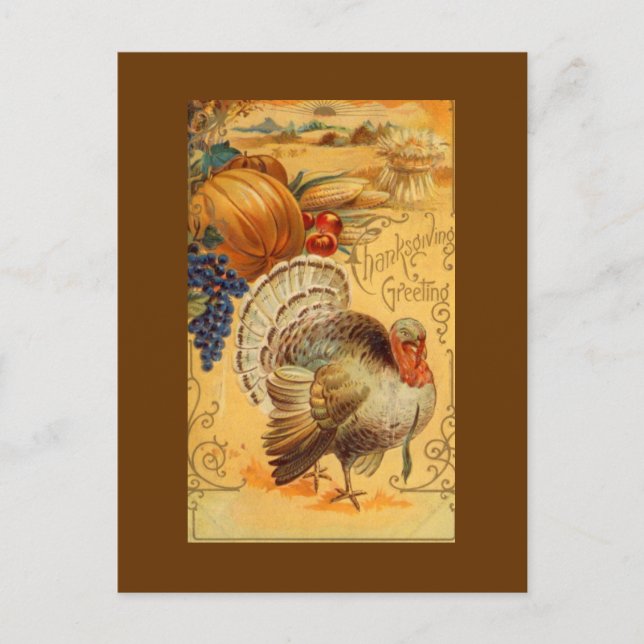 Thanksgiving Greetings Holiday Postcard (Front)