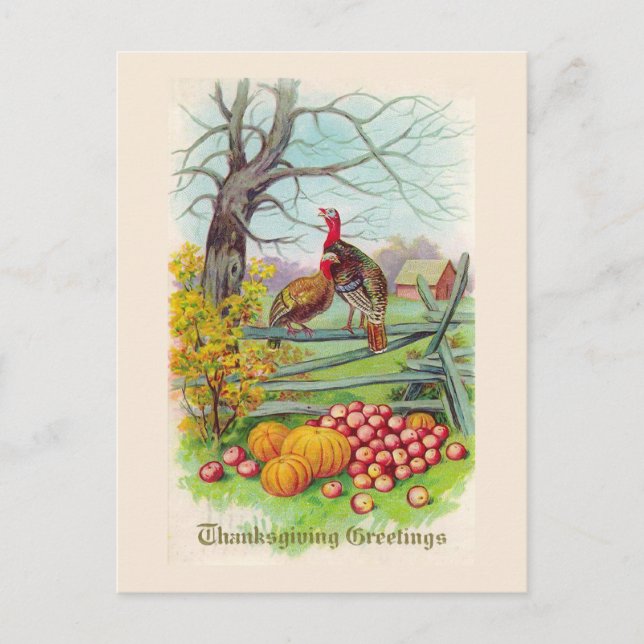 "Thanksgiving Greetings" Postcard (Front)