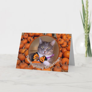 Thanksgiving Greetings with Cat Greeting Card