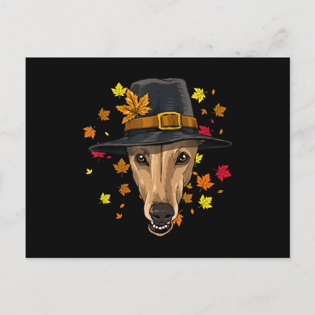Thanksgiving Greyhound Pilgrim Costume Men Women Holiday Postcard (Front)