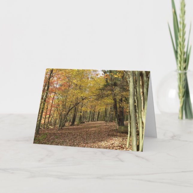 Thanksgiving Harvest  Holiday Card (Front)