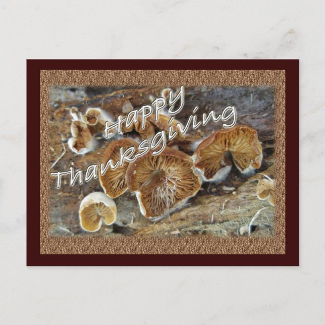 Thanksgiving Inside Out Mushrooms Items Holiday Postcard (Front)