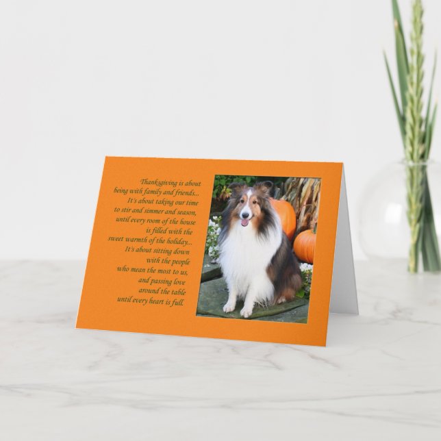 Thanksgiving is...Sheltie Card (Front)
