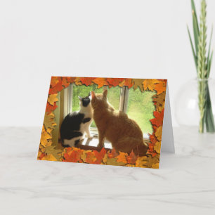 Thanksgiving Kittens Holiday Card