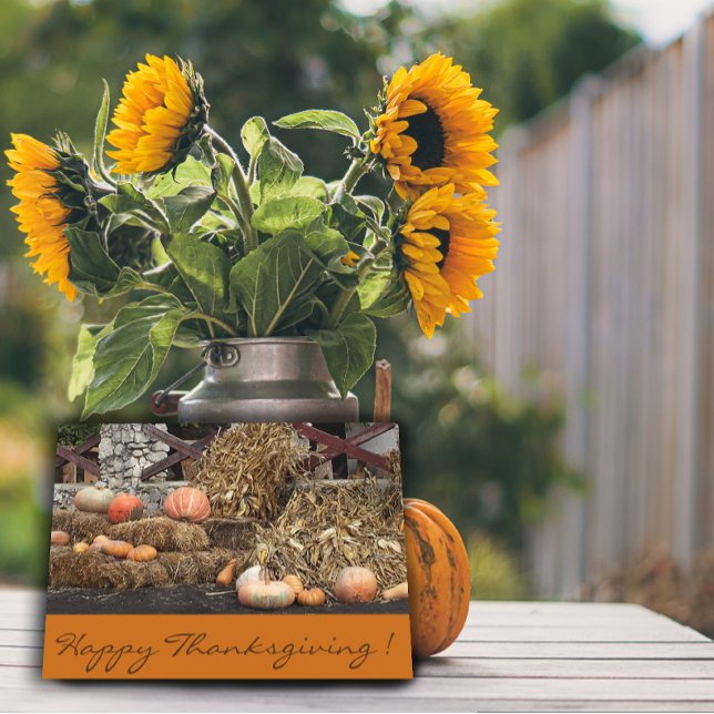 Thanksgiving Orange pumpkin rustic Postcard (Creator Uploaded)