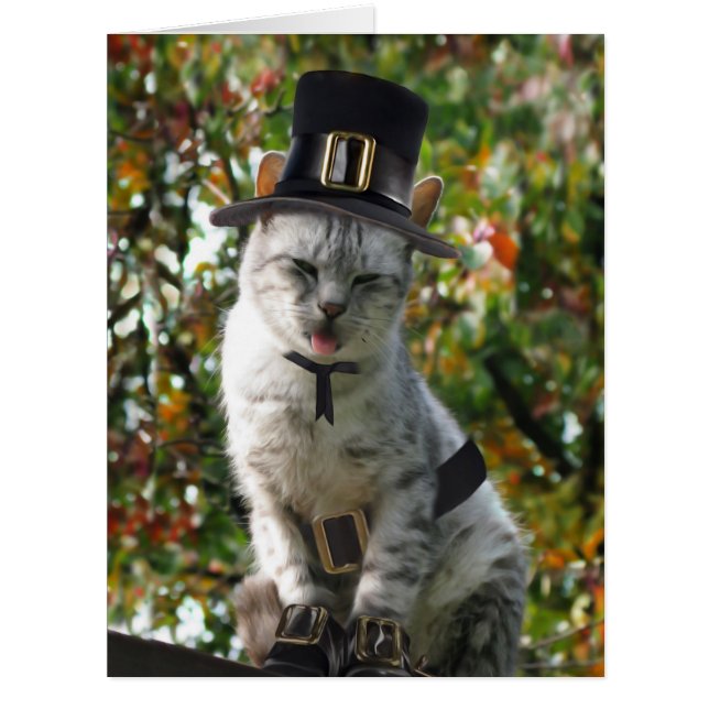 Thanksgiving Pilgrim Cat (Front)