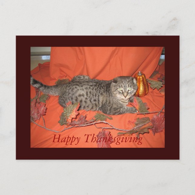 Thanksgiving Postcard (Front)