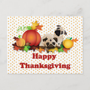 Thanksgiving Pugs and Pumpkins Holiday Postcard