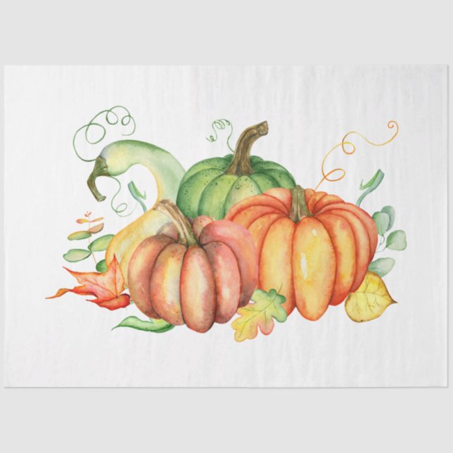 Thanksgiving Pumpkin Series Design 6 Tissue Paper (Front)