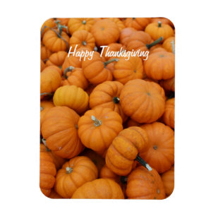 Thanksgiving pumpkins magnet