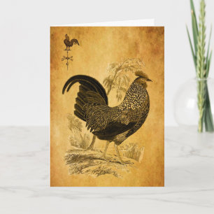 Thanksgiving Rooster Holiday Card