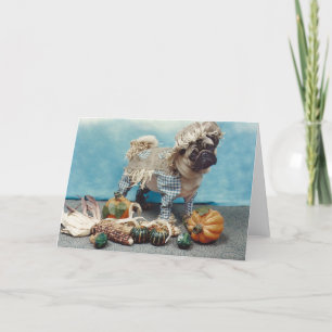 Thanksgiving Scarecrow Pug Card