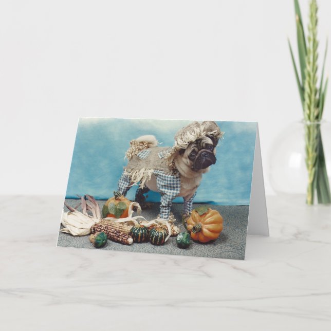 Thanksgiving Scarecrow Pug Card (Front)