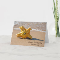 Thanksgiving Star Gourd on Ocean Beach