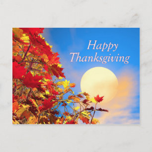 Thanksgiving Sun and Fall Tree Holiday Postcard