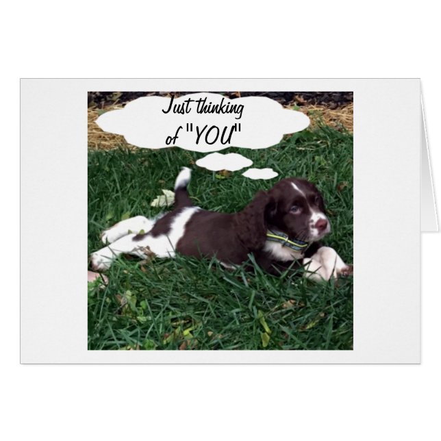 THANKSGIVING TIME TO THINK OF "YOU" (Front Horizontal)