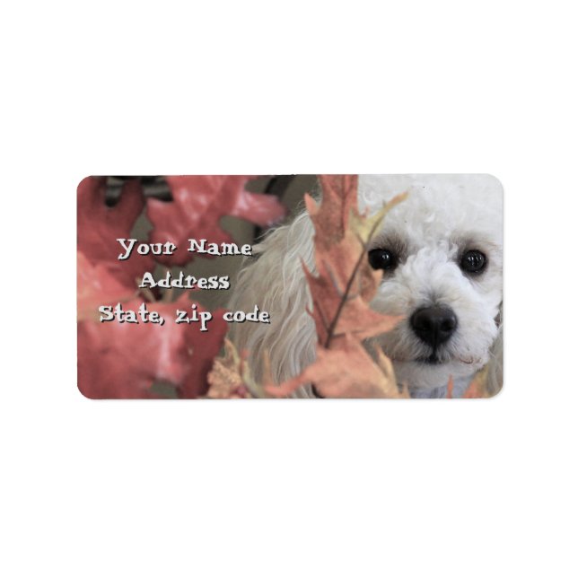 Thanksgiving Toy Poodle puppy address labels (Front)