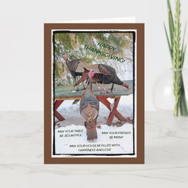 Thanksgiving Trio of Wild Turkeys Card (Front)