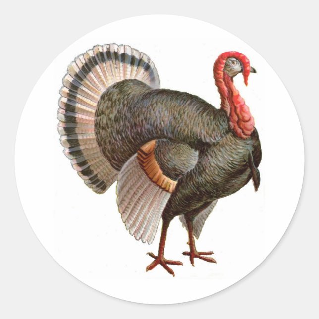 THANKSGIVING TURKEY CLASSIC ROUND STICKER (Front)