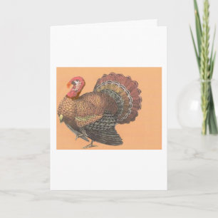 Thanksgiving Turkey Holiday Card