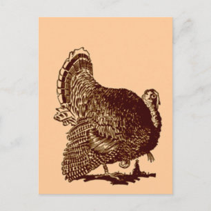 Thanksgiving Turkey Holiday Postcard