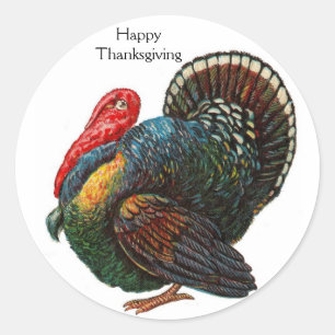 Thanksgiving Turkey Sticker