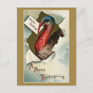 Thanksgiving turkey vintage art drawing Postcard