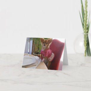 Thanksgiving with adorable chihuahua holiday card