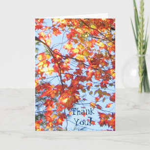 ThankYou! Fall in Maine Thank You Card