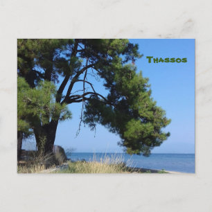 Thassos view from Skala Rachoni Postcard