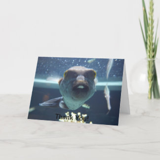 That Bucktooth Fish Card