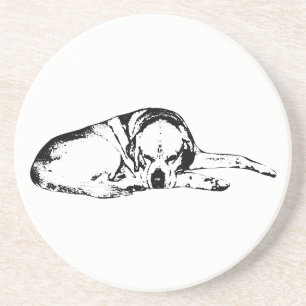 That Expression Coaster