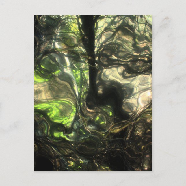 That Very Night in Max's Room a Forest Grew & Grew Postcard (Front)