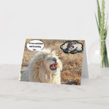 That was a weird dream