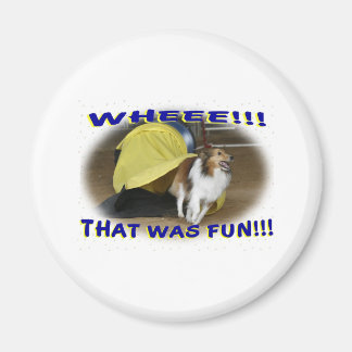 That was Fun Magnet