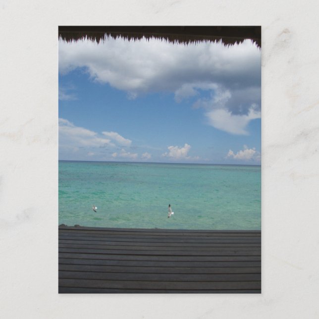 Thatched Cabana postcard (Front)