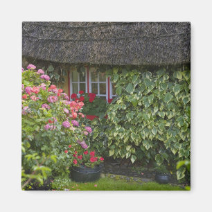 Thatched cottage, Adare, County Limerick, Magnet