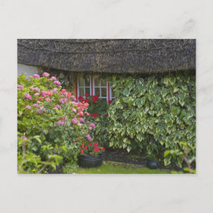 Thatched cottage, Adare, County Limerick, Postcard