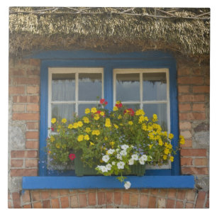 Thatched cottage, Adare, County Limerick, Tile