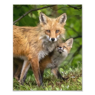 That's My Dad Photo Print