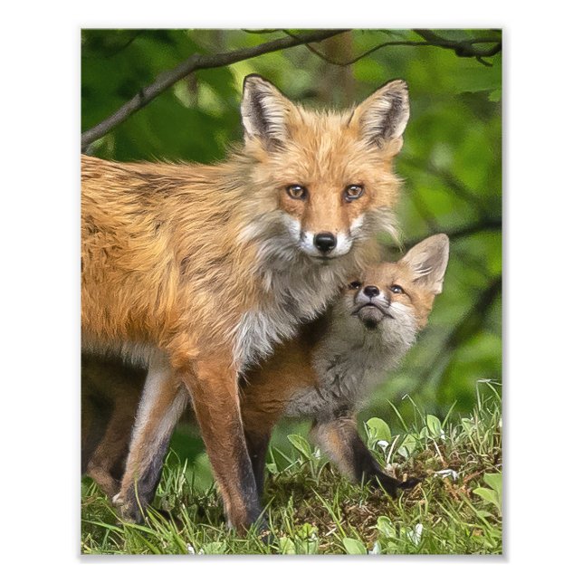 That's My Dad Photo Print (Front)