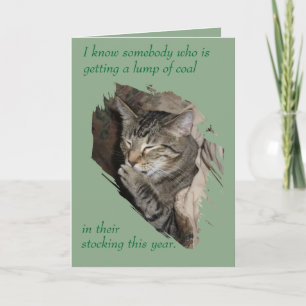 Thats Not Coal Laughing Cat holiday card