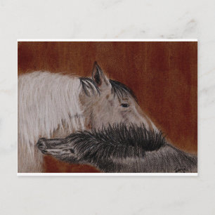 That's the Spot Postcard