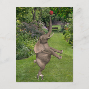 That's What Friends Are For Postcard