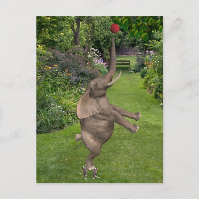 That's What Friends Are For Postcard (Front)