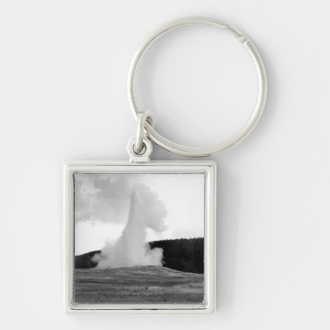 THC0024311 KEY RING (Front)