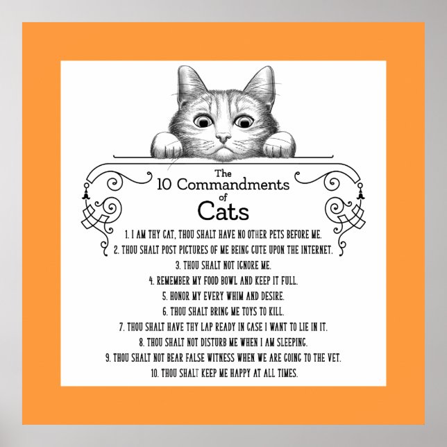 The 10 Commandments of Cats Funny Poster (Front)