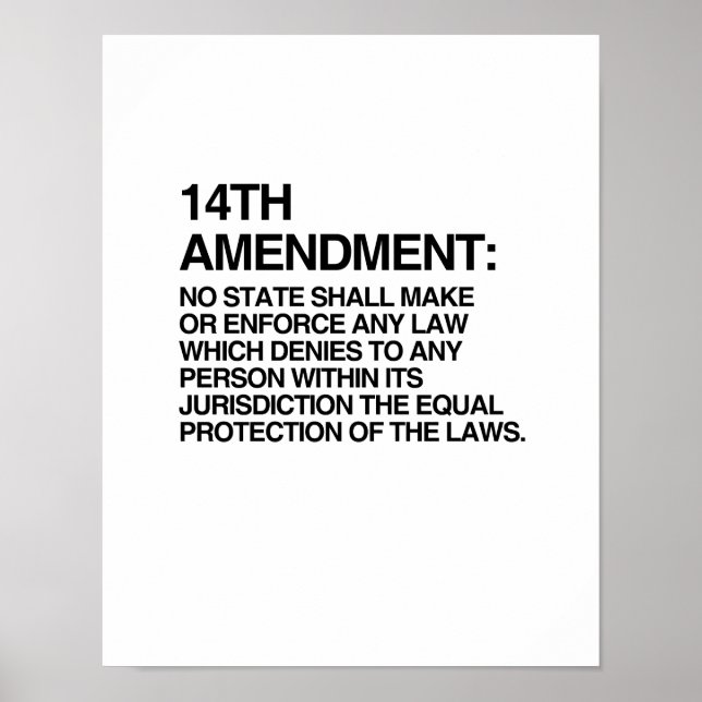 THE 14TH AMENDMENT POSTER (Front)